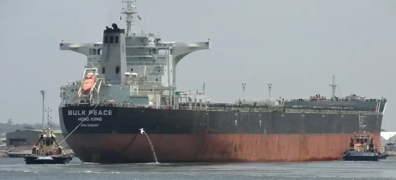 BULK PEACE Bulk Carrier IMO 9568067 photo 4