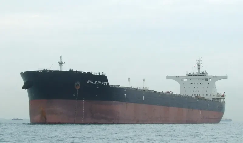 BULK PEACE Bulk Carrier IMO 9568067 photo 5