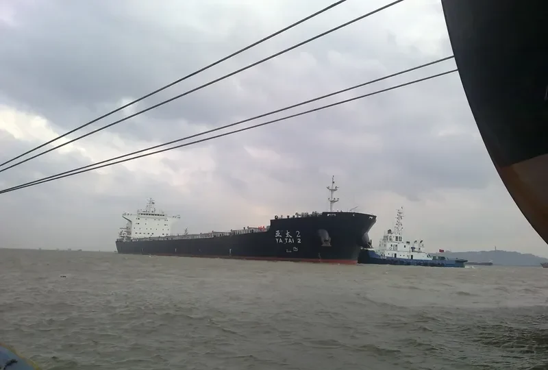 TAN FU MING SHENG Bulk Carrier IMO 9568160 photo 3