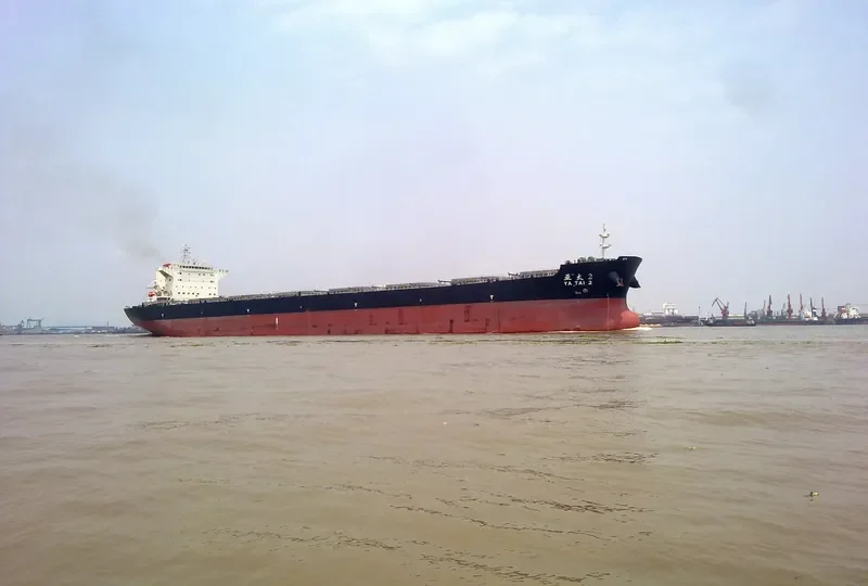 TAN FU MING SHENG Bulk Carrier IMO 9568160 photo 4