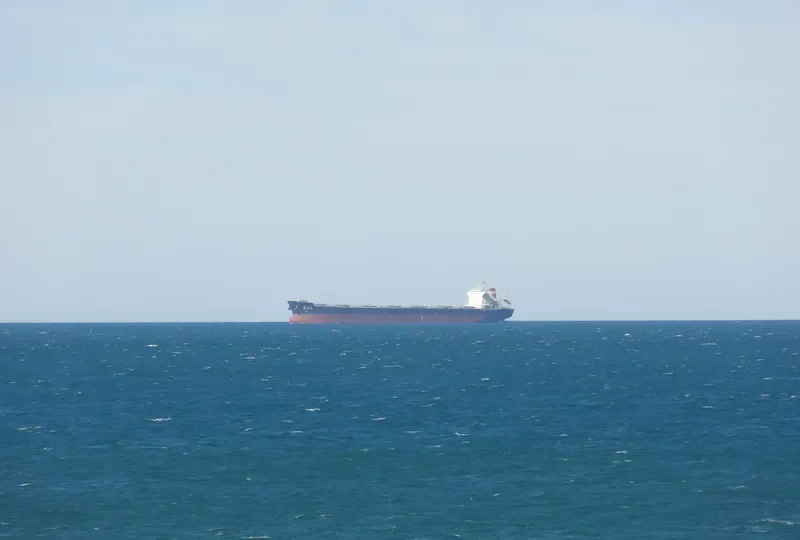 TAN FU MING SHENG Bulk Carrier IMO 9568160 photo 5