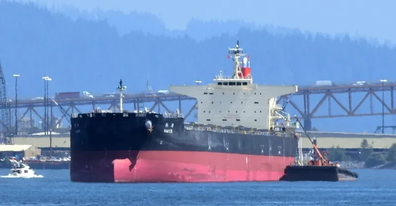 SAIYO Bulk Carrier IMO 9568225
