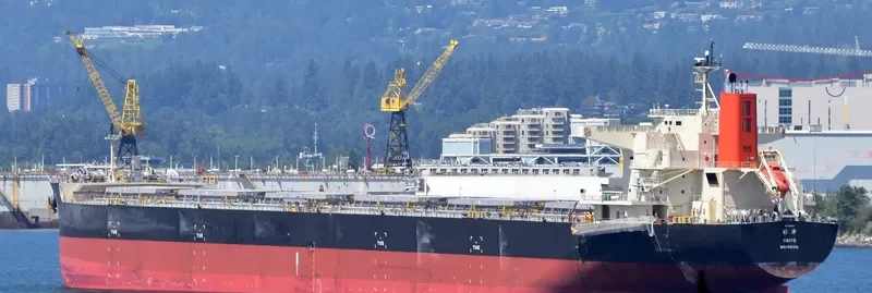 SAIYO Bulk Carrier IMO 9568225 photo 2