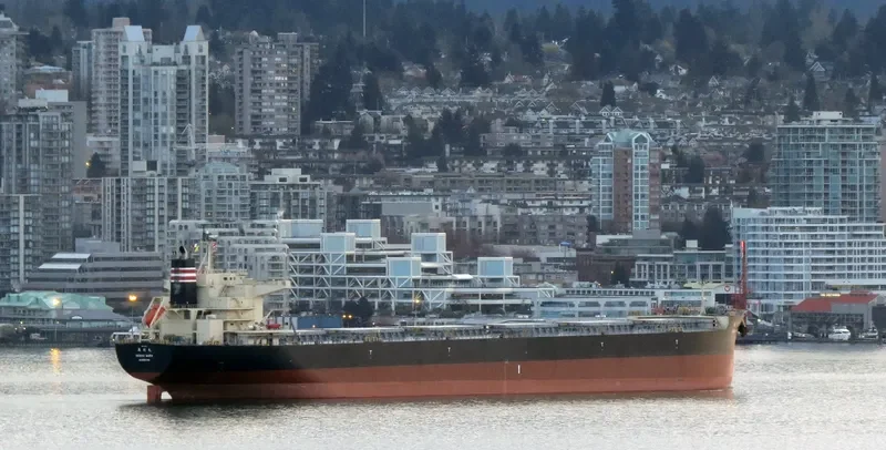 OHSHU MARU Bulk Carrier IMO 9568237 photo 2