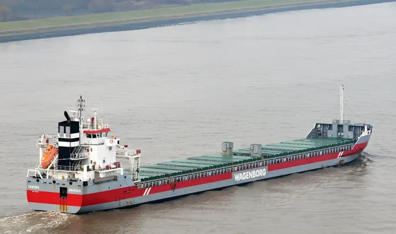 EEBORG Container Ship IMO 9568328