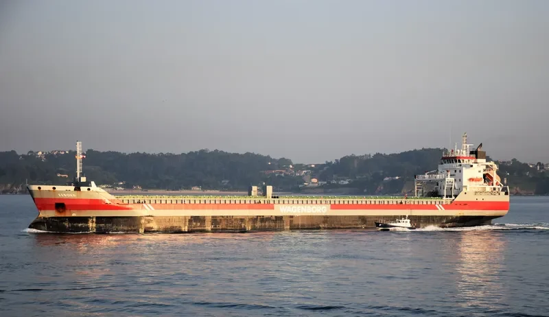 EEBORG Container Ship IMO 9568328 photo 5