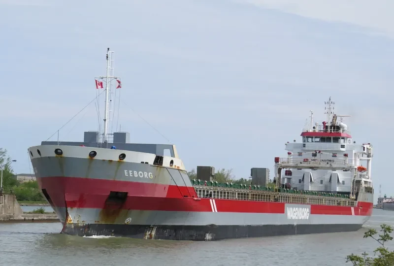EEBORG Container Ship IMO 9568328 photo 6