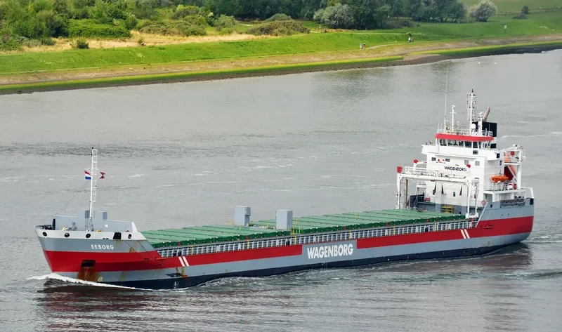 EEBORG Container Ship IMO 9568328 photo 9