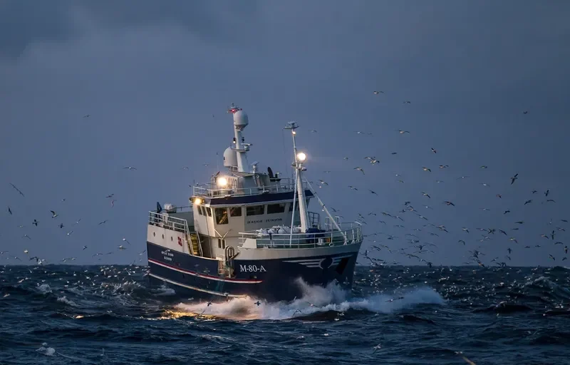 BJOERNHAUG General Cargo IMO 9568330 photo 10