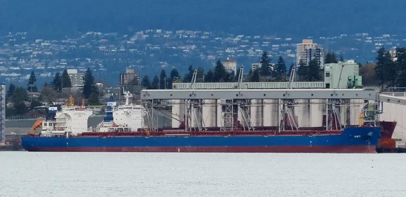 LESTARI MANJUNG Bulk Carrier IMO 9568574 photo 2