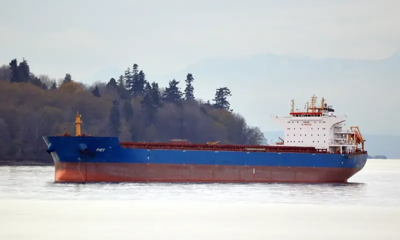 LESTARI MANJUNG Bulk Carrier IMO 9568574 photo 8