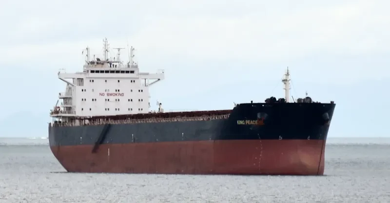 STAR PEACE Bulk Carrier IMO 9568718 photo 4