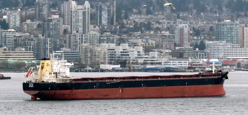 STAR PEACE Bulk Carrier IMO 9568718 photo 5