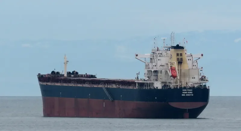 STAR PEACE Bulk Carrier IMO 9568718 photo 6