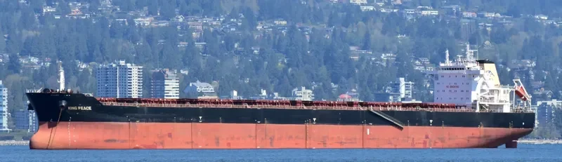 STAR PEACE Bulk Carrier IMO 9568718 photo 8