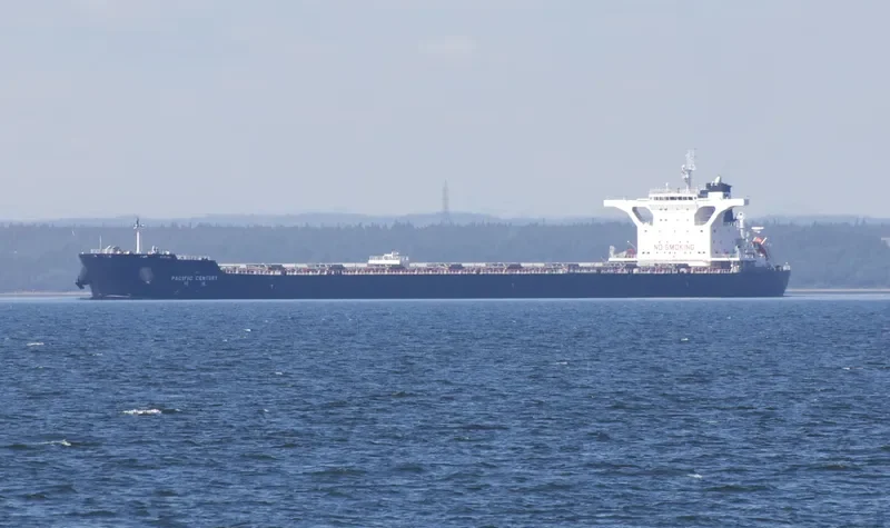PACIFIC CENTURY Bulk Carrier IMO 9568902 photo 2