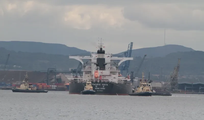 PACIFIC VISTA Bulk Carrier IMO 9568914 photo 2