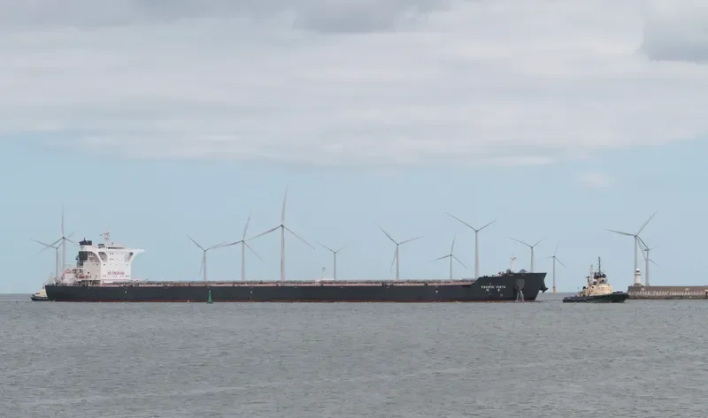 PACIFIC VISTA Bulk Carrier IMO 9568914 photo 3