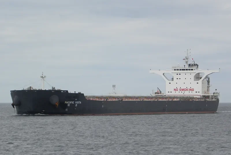 PACIFIC VISTA Bulk Carrier IMO 9568914 photo 4