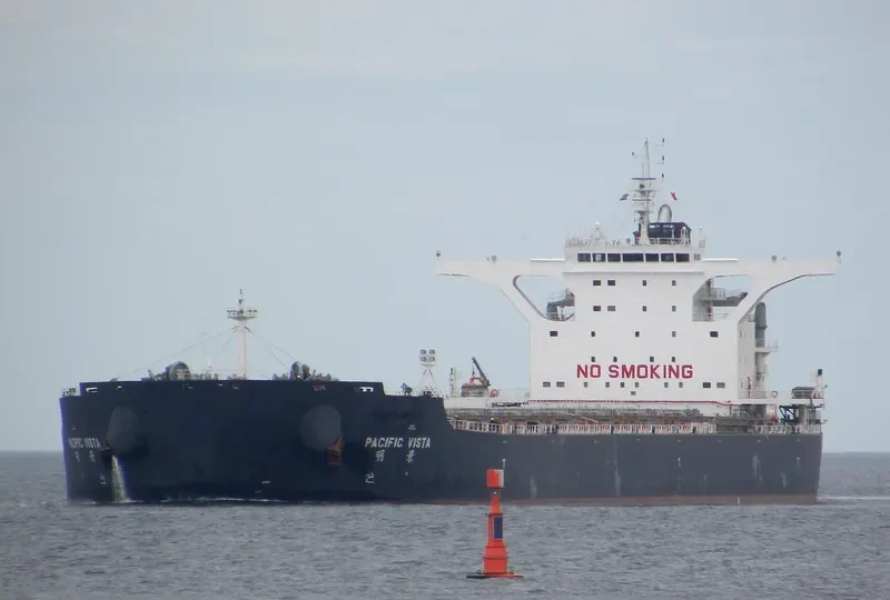 PACIFIC VISTA Bulk Carrier IMO 9568914 photo 5