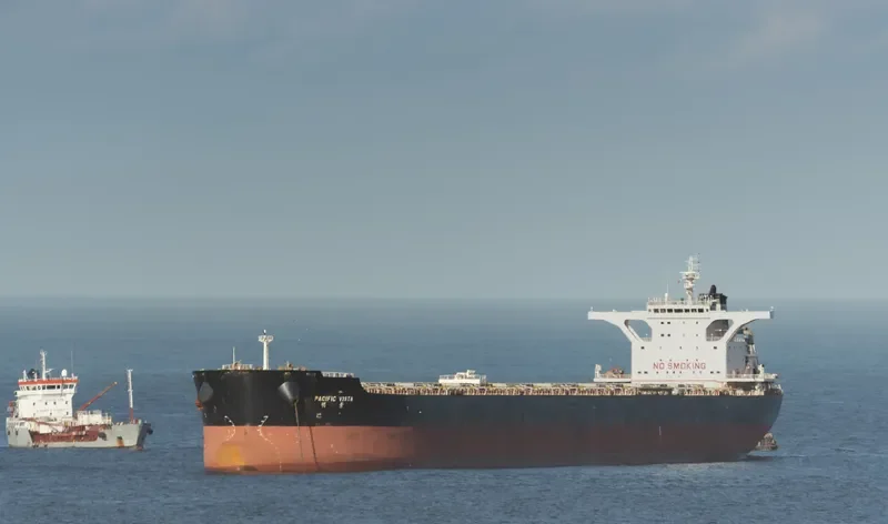 PACIFIC VISTA Bulk Carrier IMO 9568914 photo 7