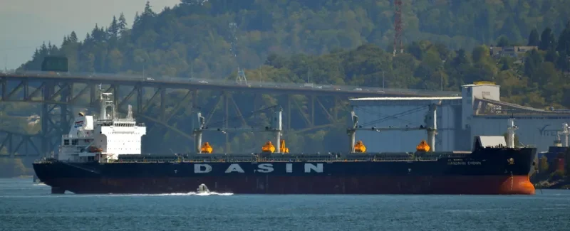 MANDARIN CROWN Bulk Carrier IMO 9569229 photo 8