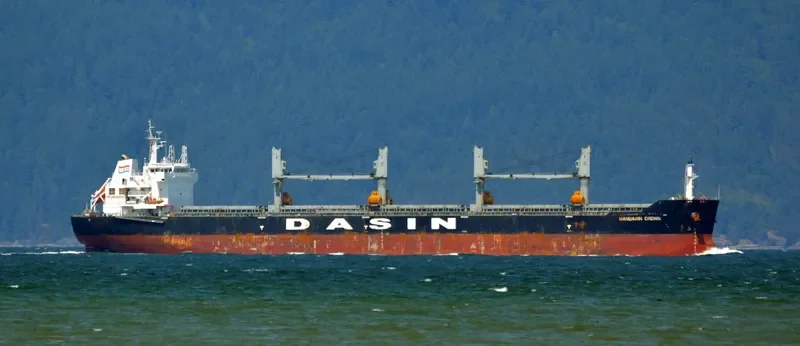 MANDARIN CROWN Bulk Carrier IMO 9569229 photo 9