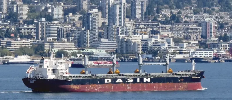 MANDARIN CROWN Bulk Carrier IMO 9569229 photo 10