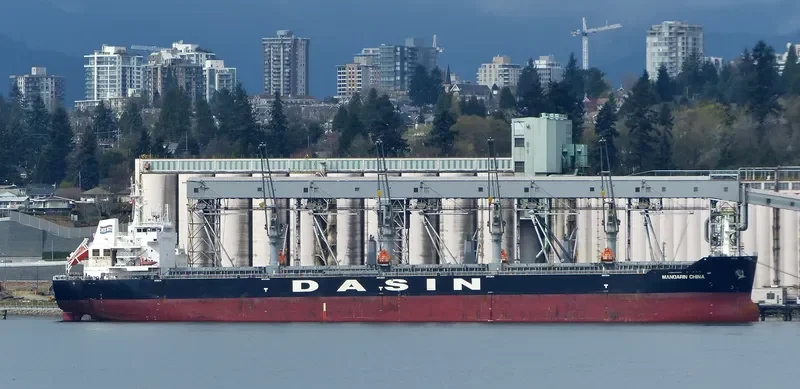MANDARIN CHINA Bulk Carrier IMO 9569243 photo 2