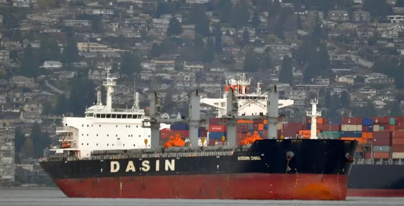 MANDARIN CHINA Bulk Carrier IMO 9569243 photo 5