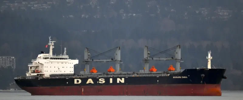 MANDARIN CHINA Bulk Carrier IMO 9569243 photo 6