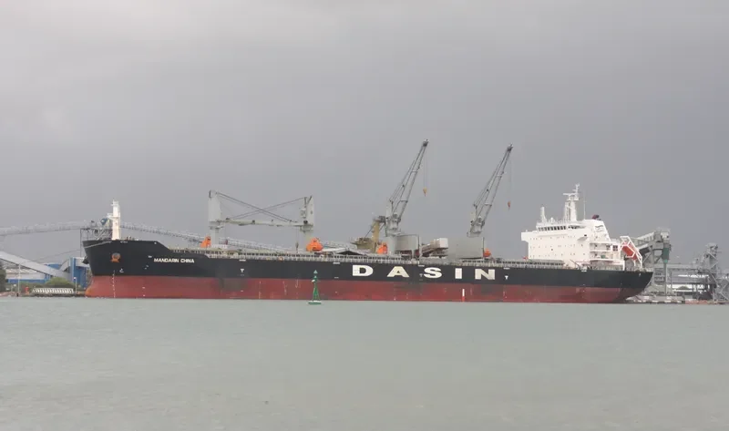 MANDARIN CHINA Bulk Carrier IMO 9569243 photo 8