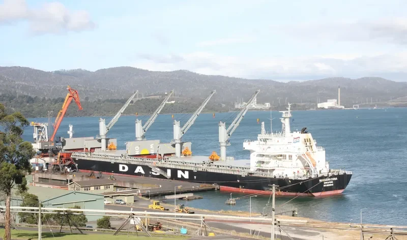 MANDARIN CHINA Bulk Carrier IMO 9569243 photo 10