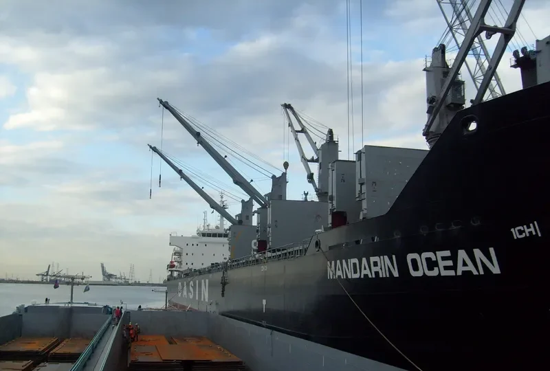 MANDARIN OCEAN Bulk Carrier IMO 9569255