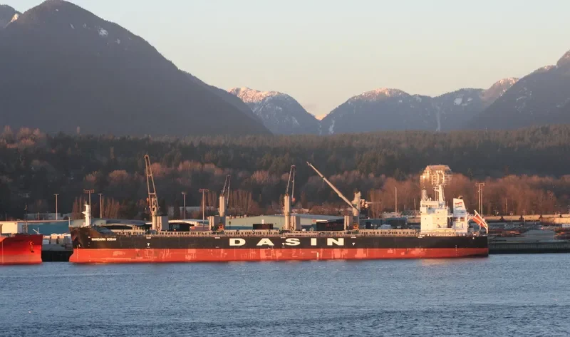 MANDARIN OCEAN Bulk Carrier IMO 9569255 photo 2