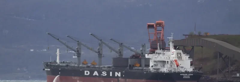 MANDARIN OCEAN Bulk Carrier IMO 9569255 photo 4