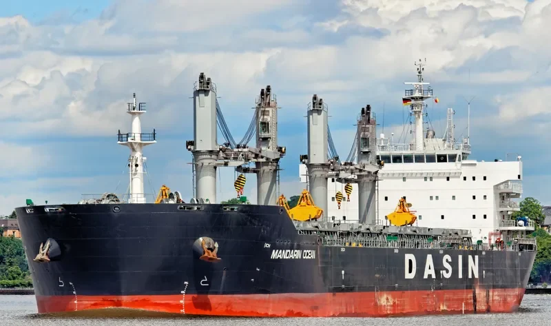 MANDARIN OCEAN Bulk Carrier IMO 9569255 photo 6
