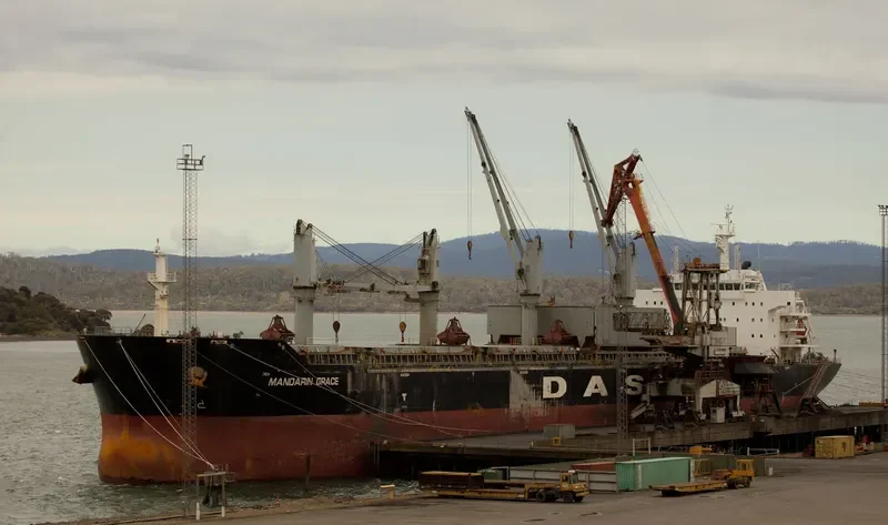 MANDARIN GRACE Bulk Carrier IMO 9569267 photo 4