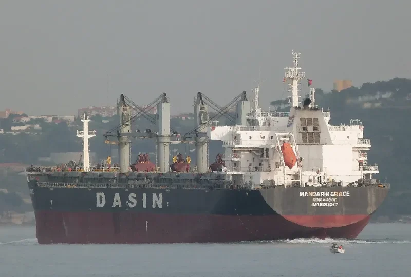 MANDARIN GRACE Bulk Carrier IMO 9569267 photo 5