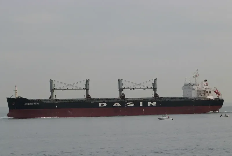 MANDARIN GRACE Bulk Carrier IMO 9569267 photo 6