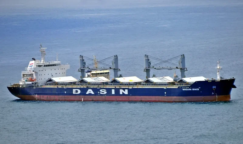 MANDARIN GRACE Bulk Carrier IMO 9569267 photo 8