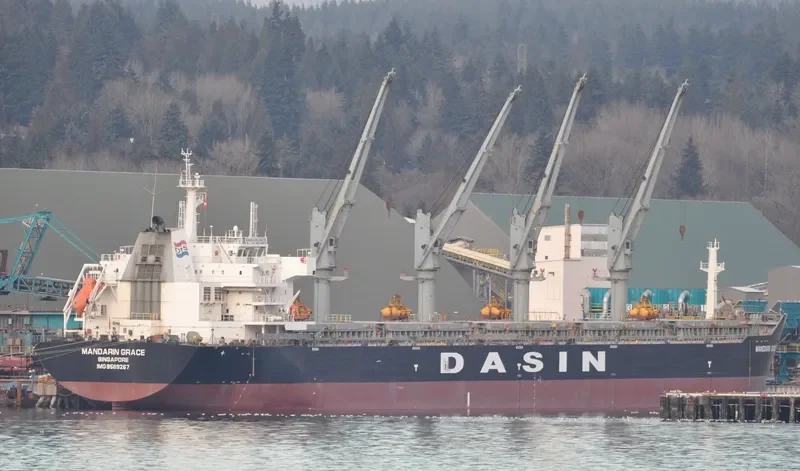 MANDARIN GRACE Bulk Carrier IMO 9569267 photo 10