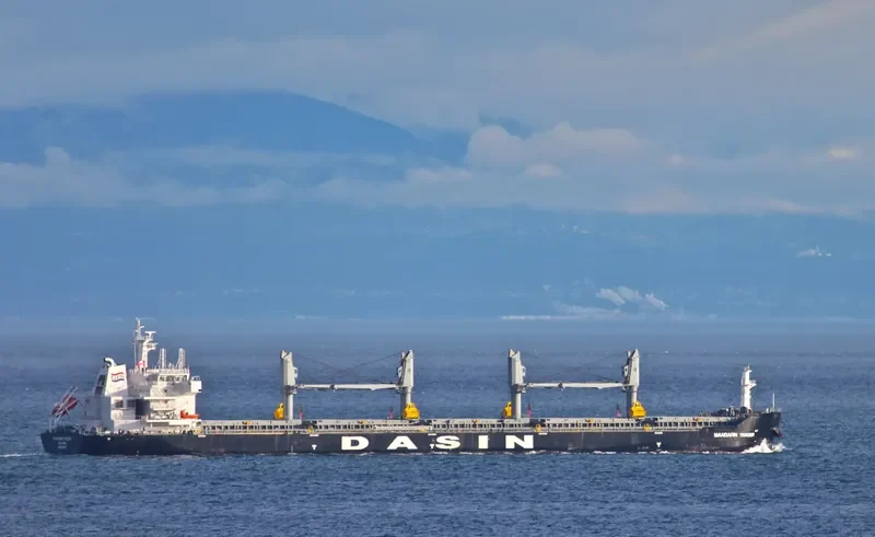 MANDARIN TRADER Bulk Carrier IMO 9569279 photo 9