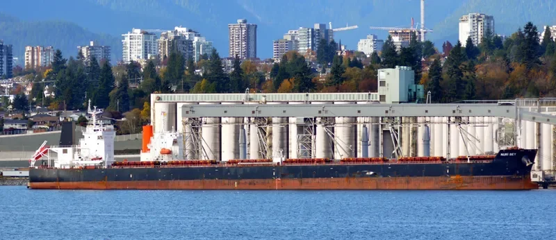 NURI BEY Bulk Carrier IMO 9569750 photo 2