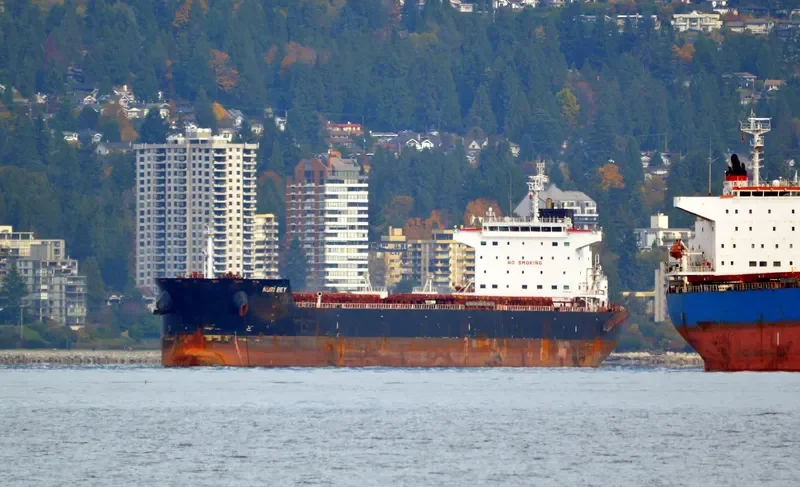 NURI BEY Bulk Carrier IMO 9569750 photo 4