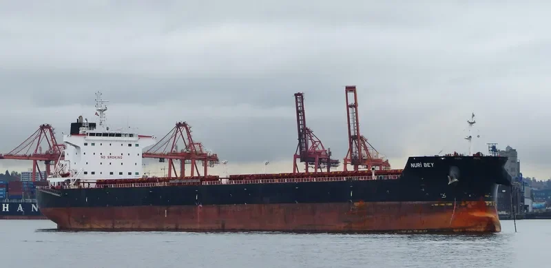 NURI BEY Bulk Carrier IMO 9569750 photo 6
