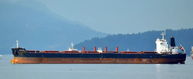 NURI BEY Bulk Carrier IMO 9569750 photo 7