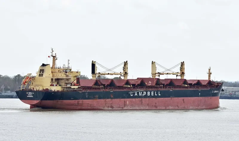 AVRA 1 Bulk Carrier IMO 9569932