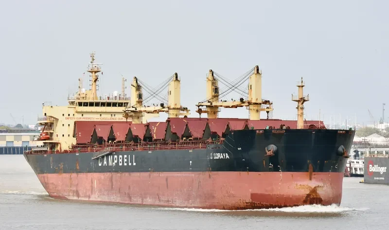 AVRA 1 Bulk Carrier IMO 9569932 photo 2