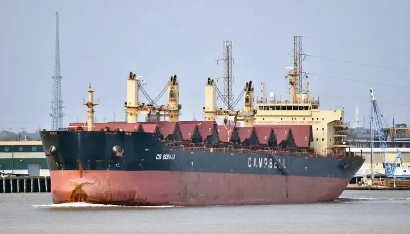 AVRA 1 Bulk Carrier IMO 9569932 photo 3